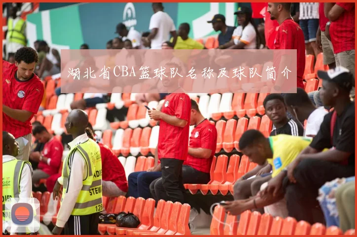 湖北省CBA篮球队名称及球队简介