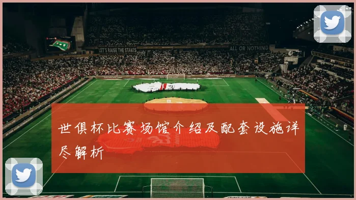 世俱杯比赛场馆介绍及配套设施详尽解析