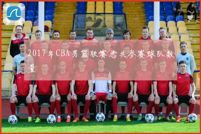 2017年CBA男篮联赛总共参赛球队数量