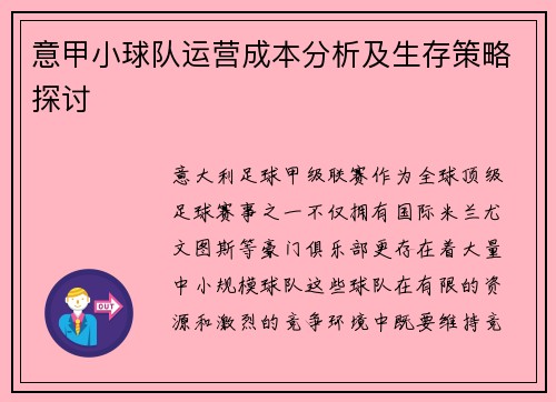 意甲小球队运营成本分析及生存策略探讨